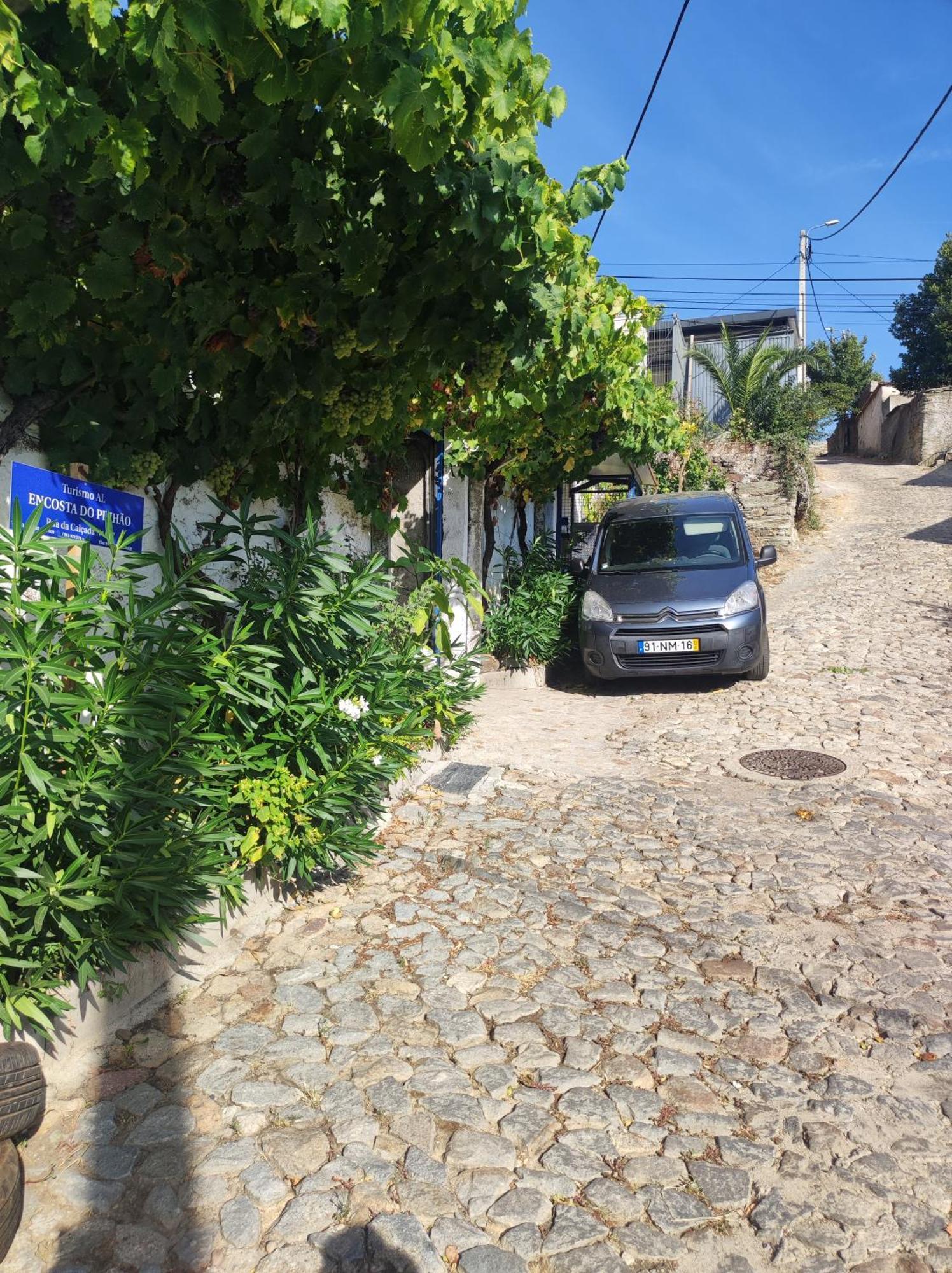 Encosta Do Pinhao Villa Casal de Loivos Eksteriør bilde
